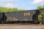 CSX 296695