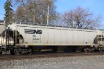 NS 295949