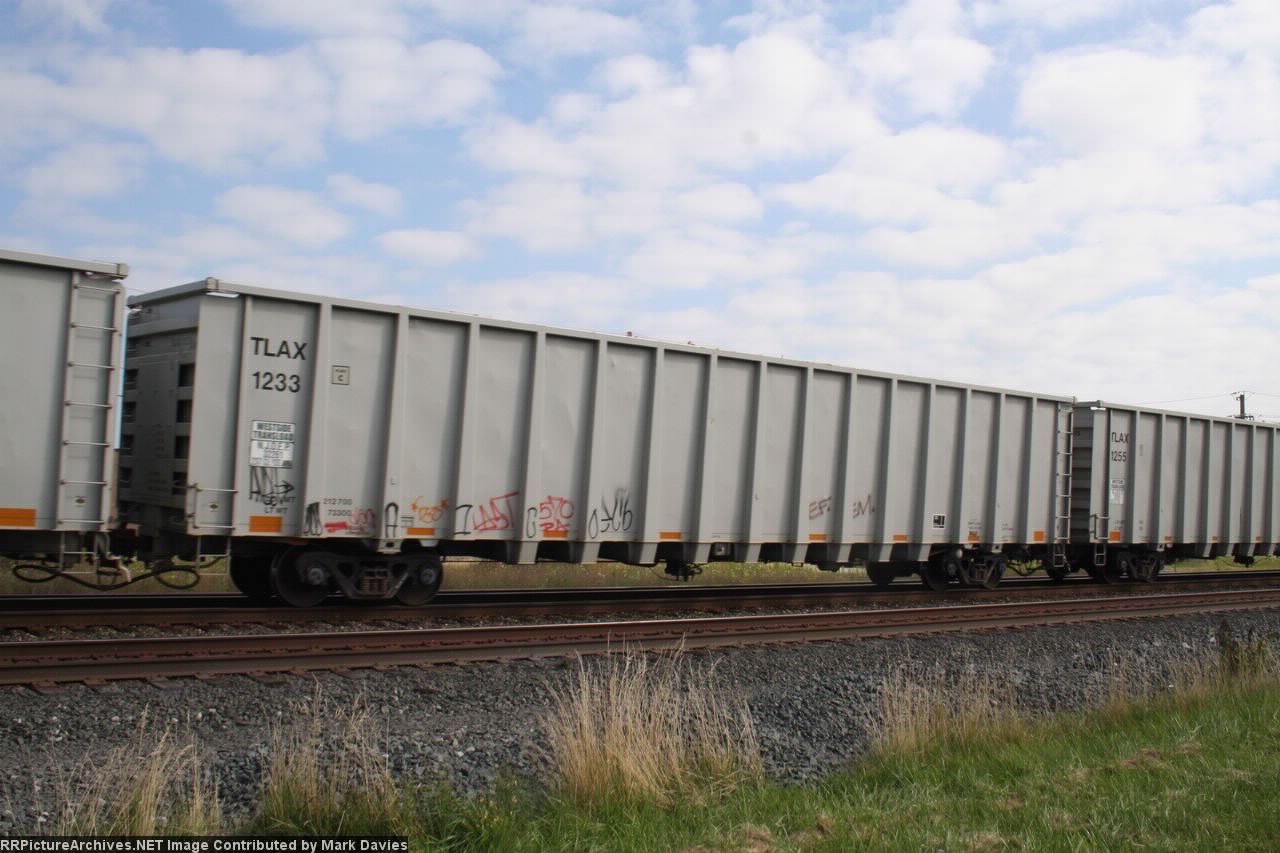 TLAX 1233