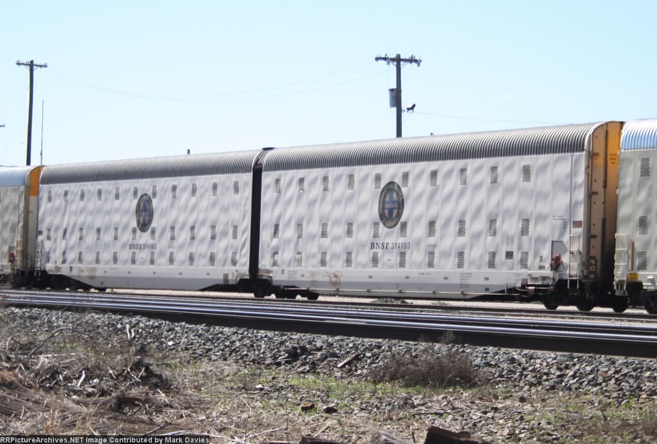 BNSF 314193