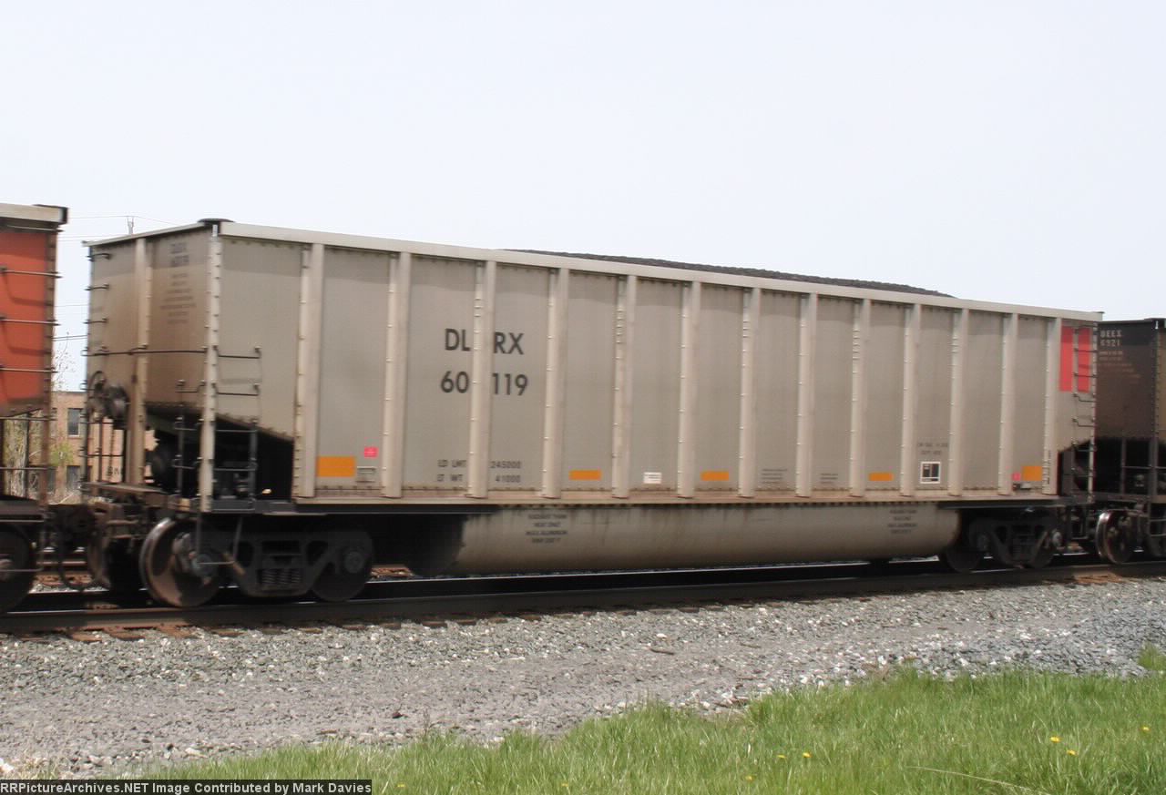 DLRX 60119