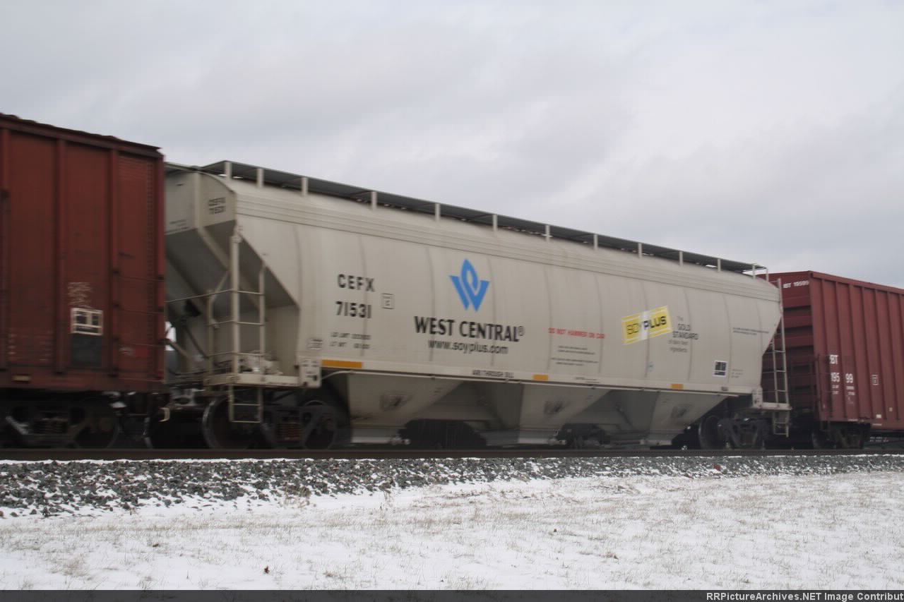 CEFX 71531