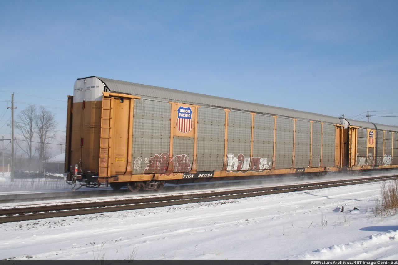 TTGX 981764