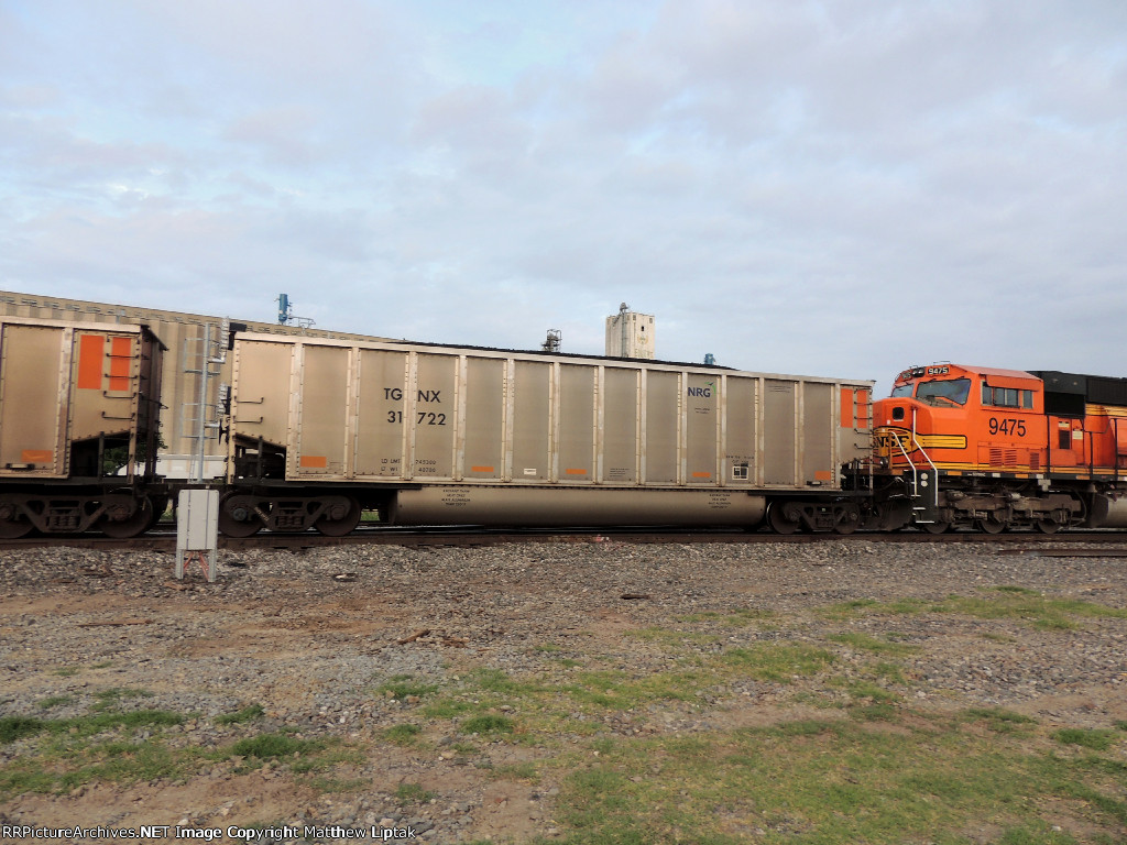 TGNX 31722