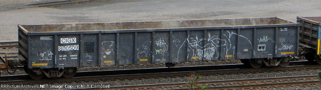 CIGX 800509