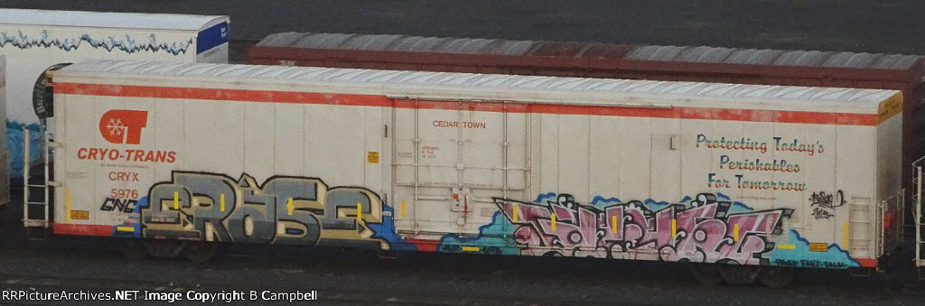 CRYX 5976