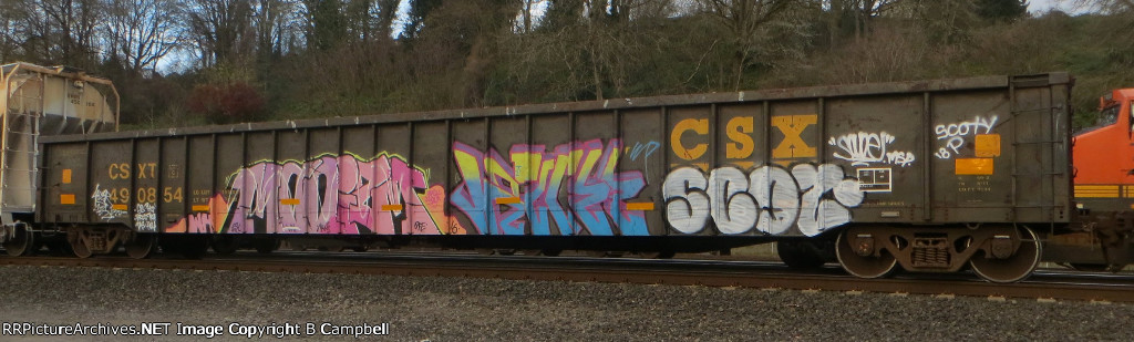 CSXT 490854