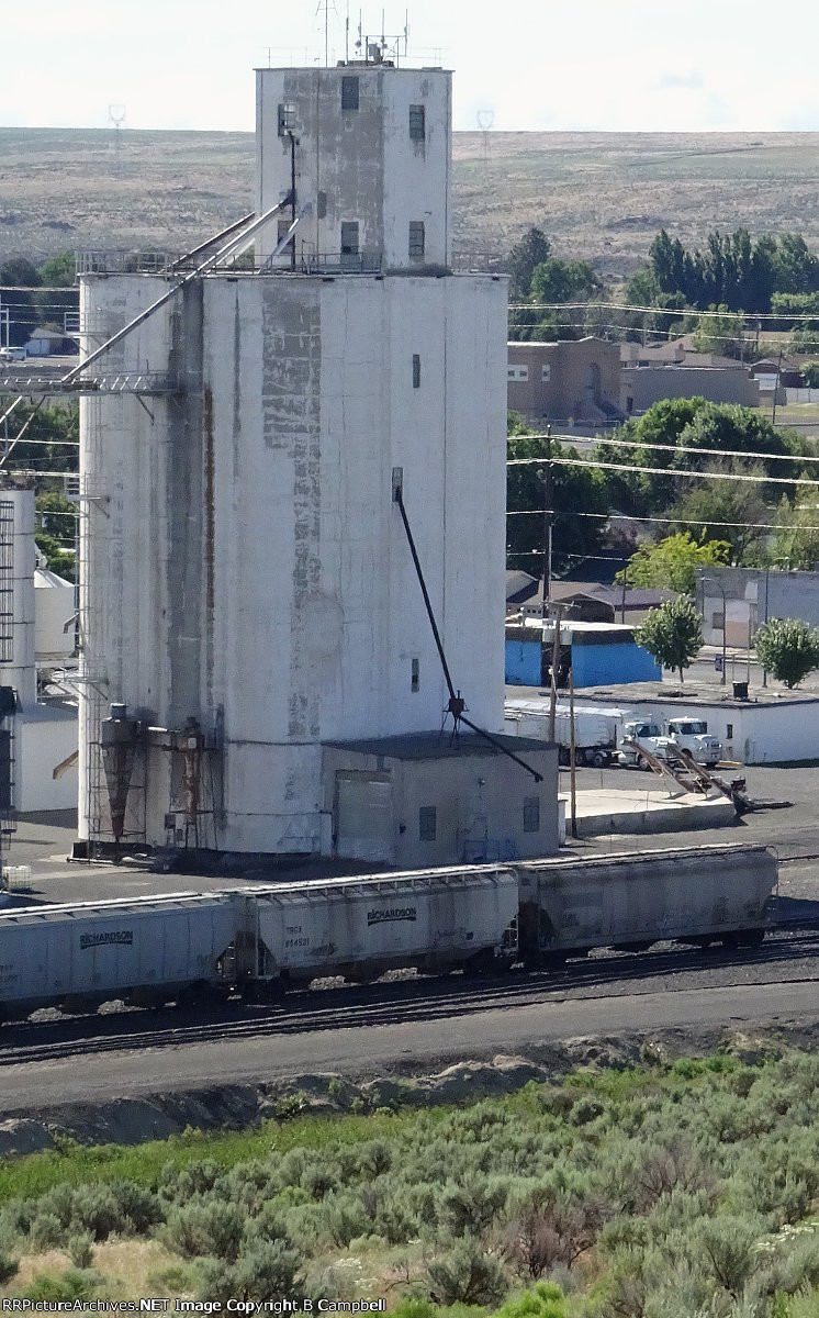 TRGX 854521-FURX 842556