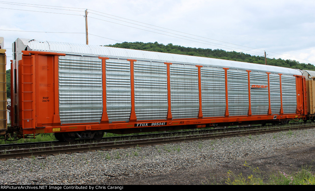 TTGX 965341