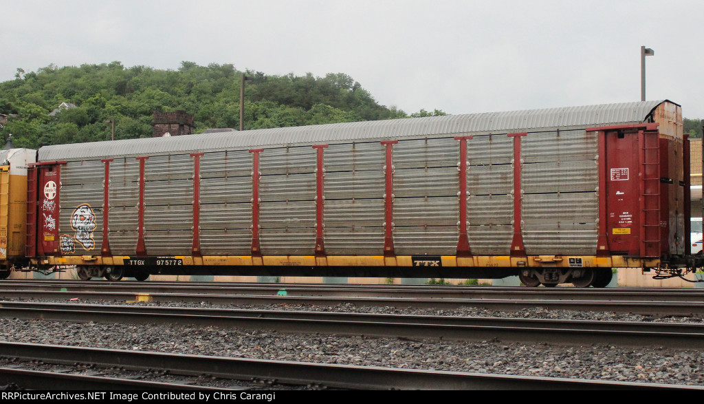 TTGX 975772