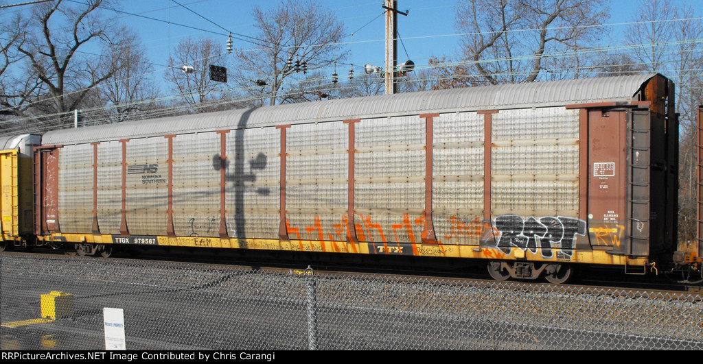 TTGX 979567
