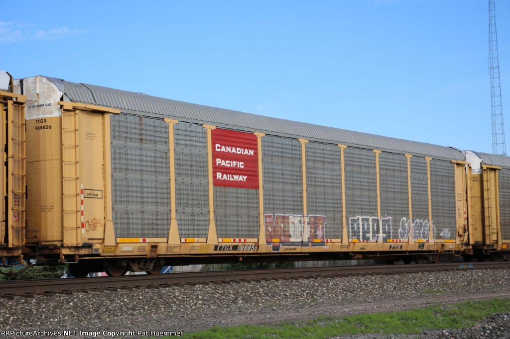 TTGX 988856