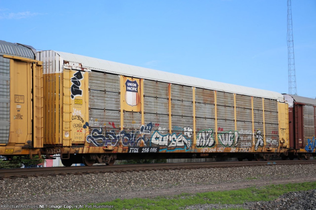 TTGX 256085