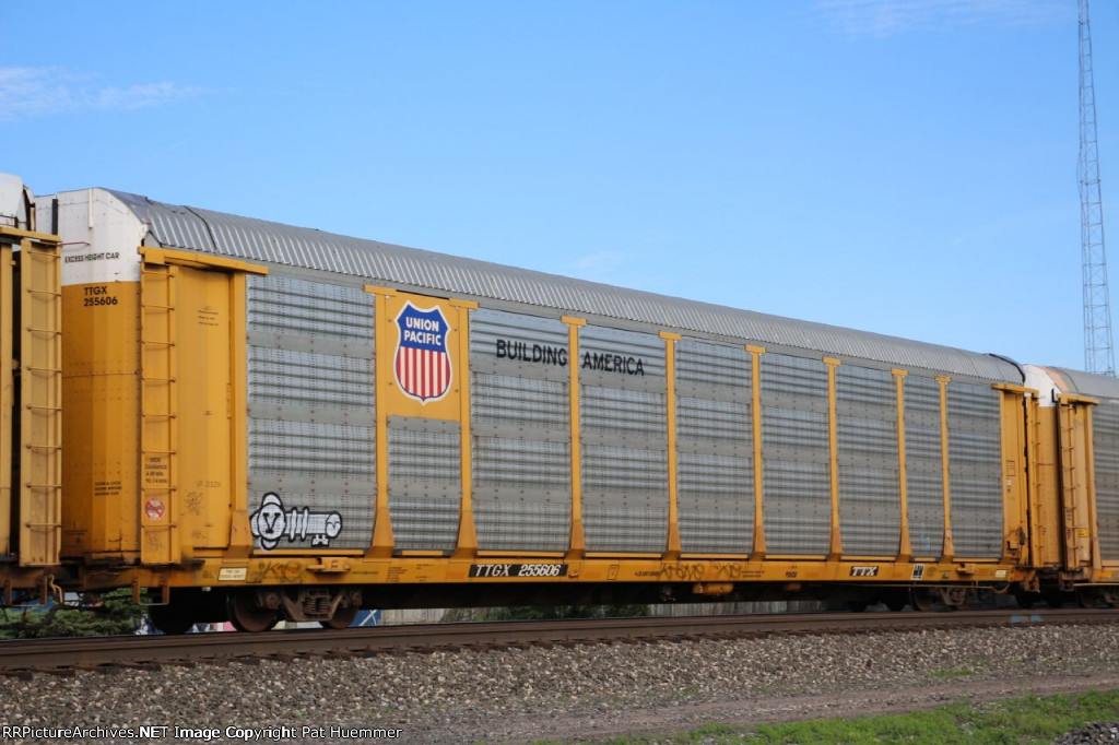 TTGX 255606