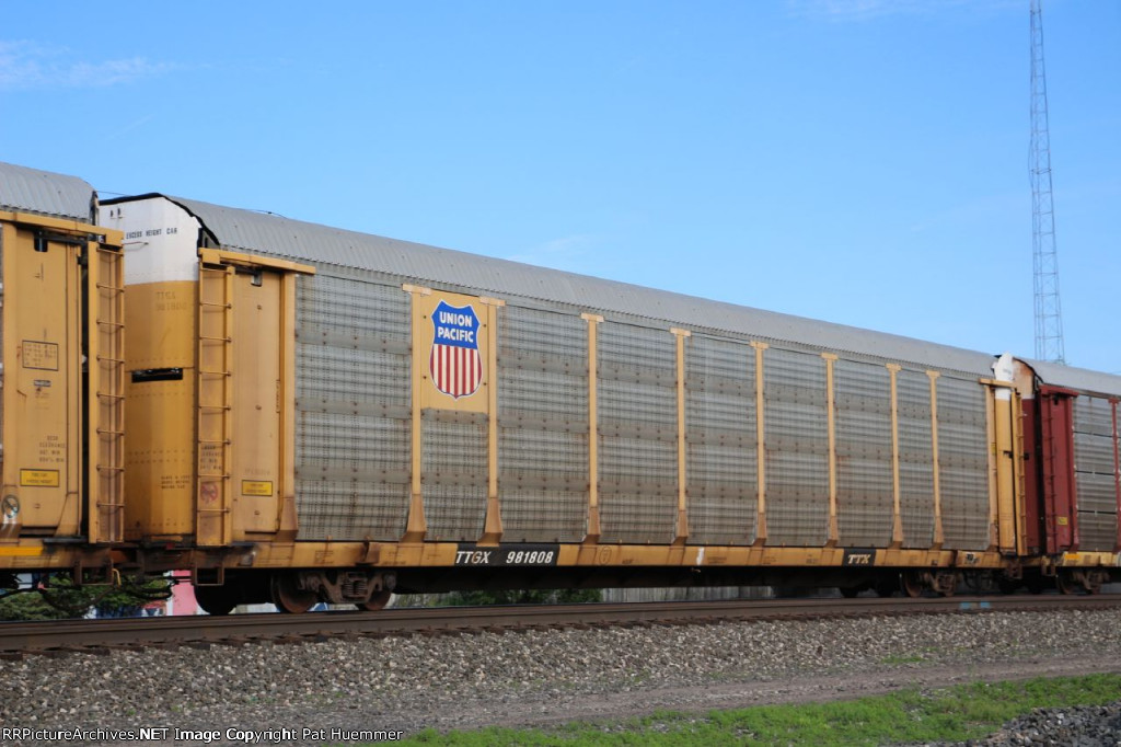 TTGX 981808