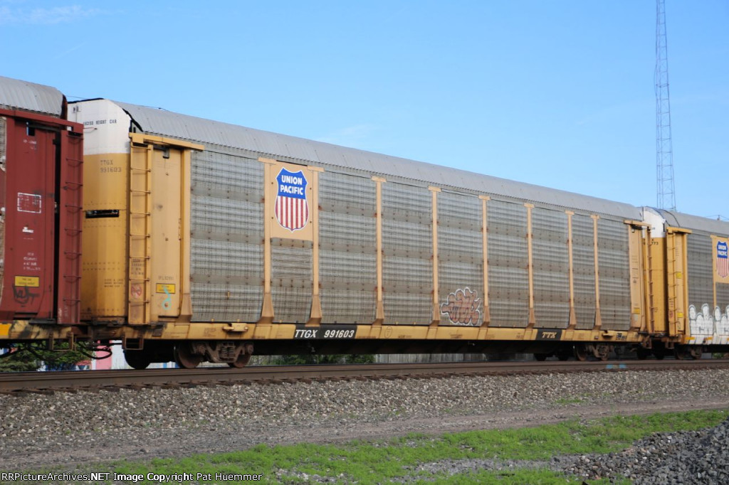 TTGX 991603