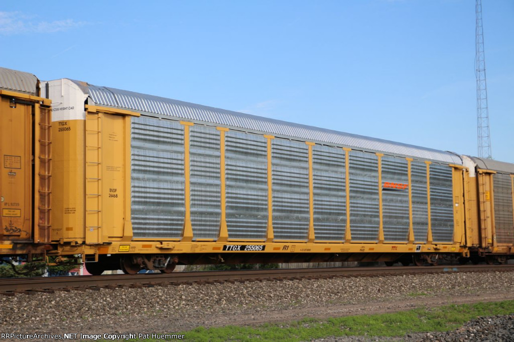 TTGX 255065