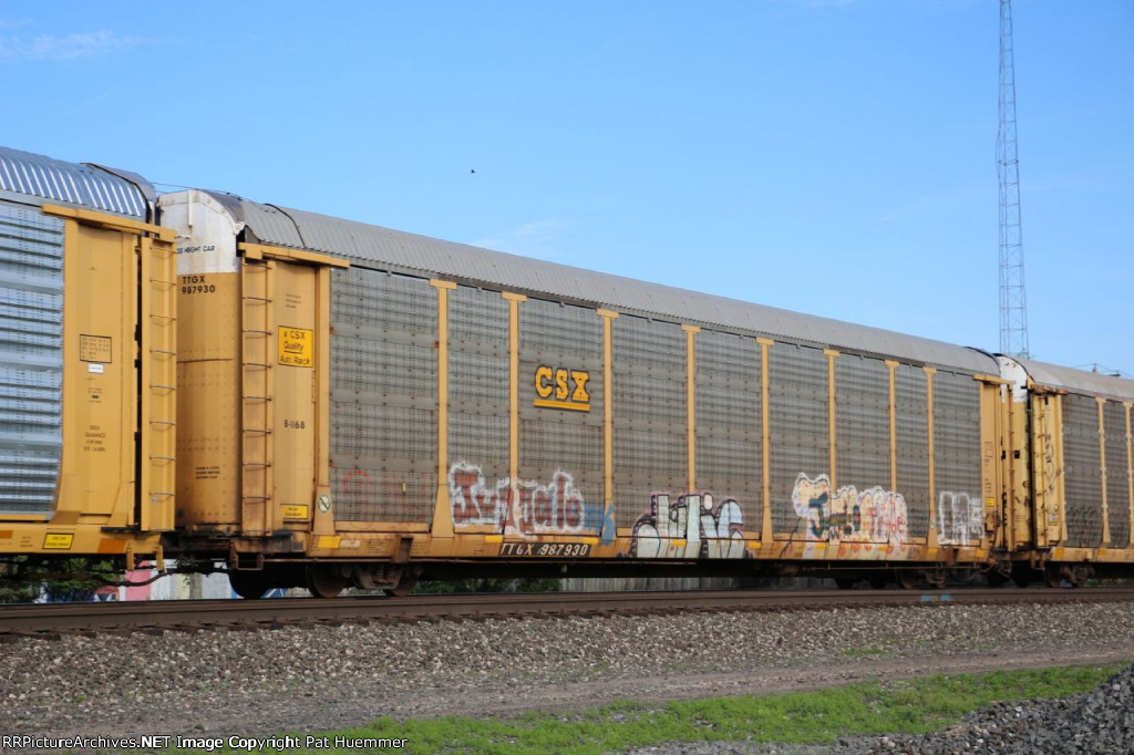 TTGX 987930