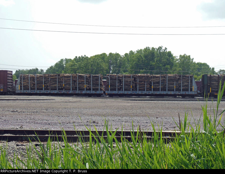 WC 35213 'Megalog Hauler'