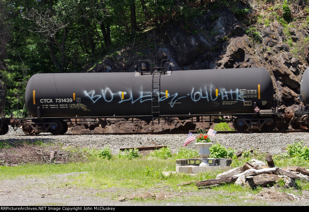 CTCX 731439