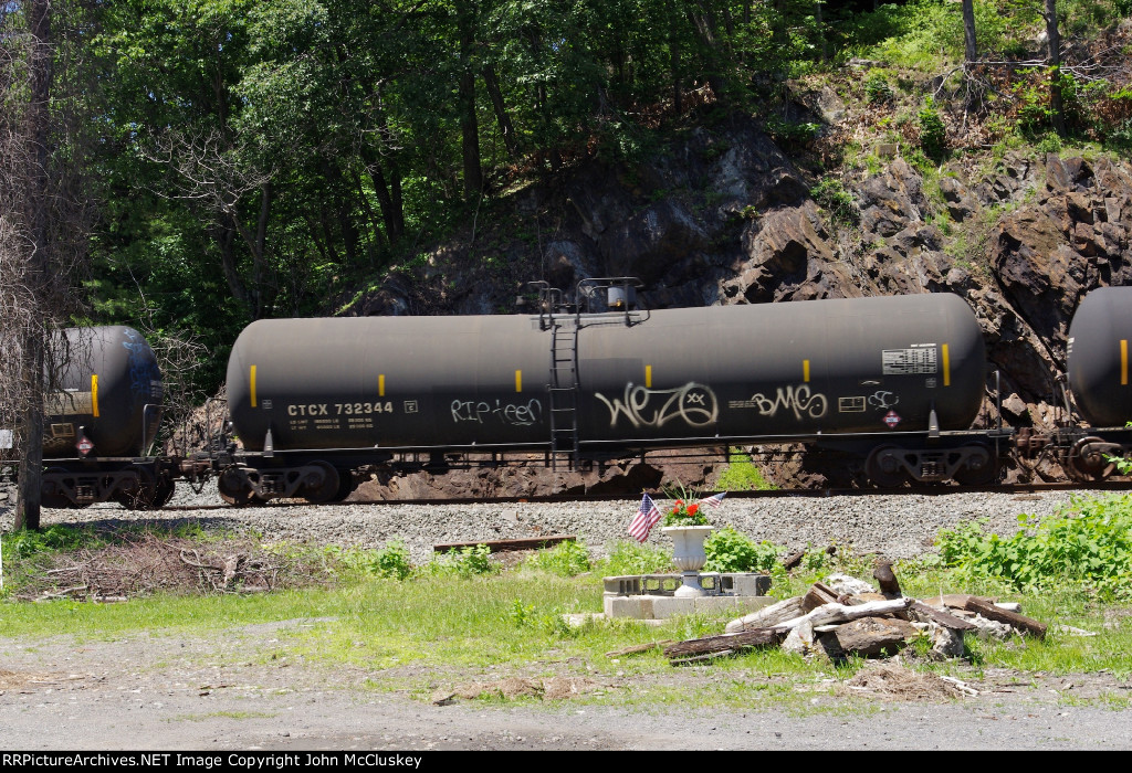 CTCX 732344