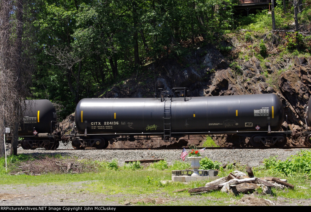 CITX 224136
