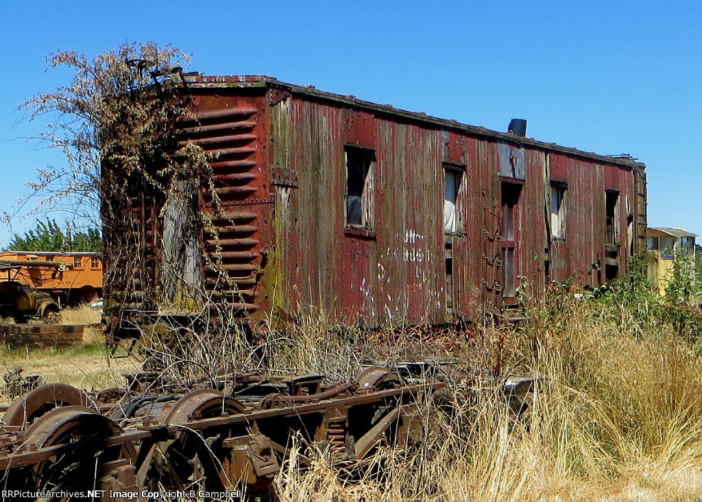 Behind the Work Shed