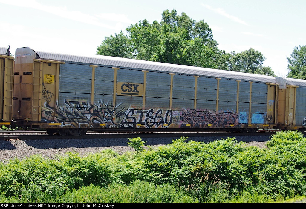 ETTX 710496
