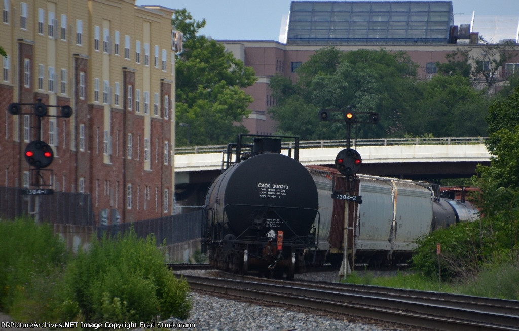 CAOX 300213 is a new listing.