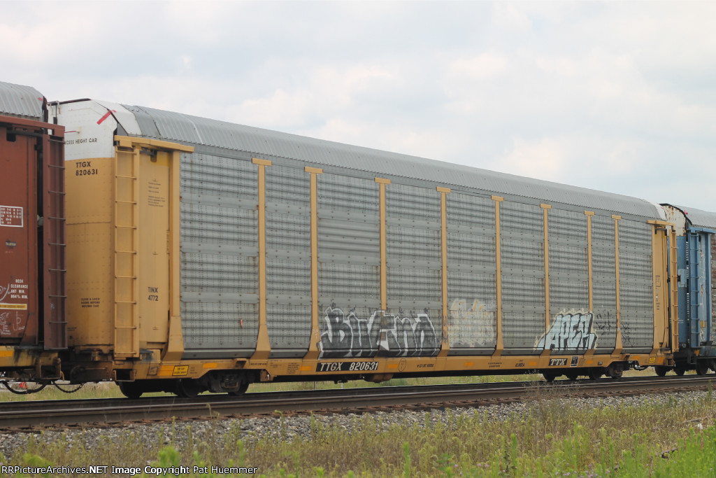 TTGX 820631