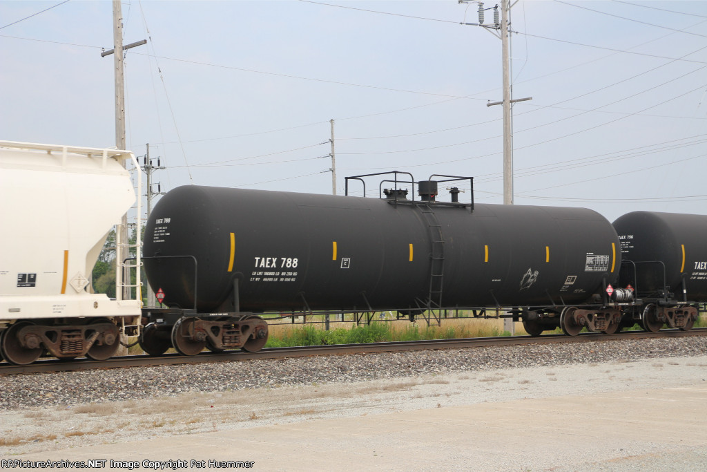 TAEX 788