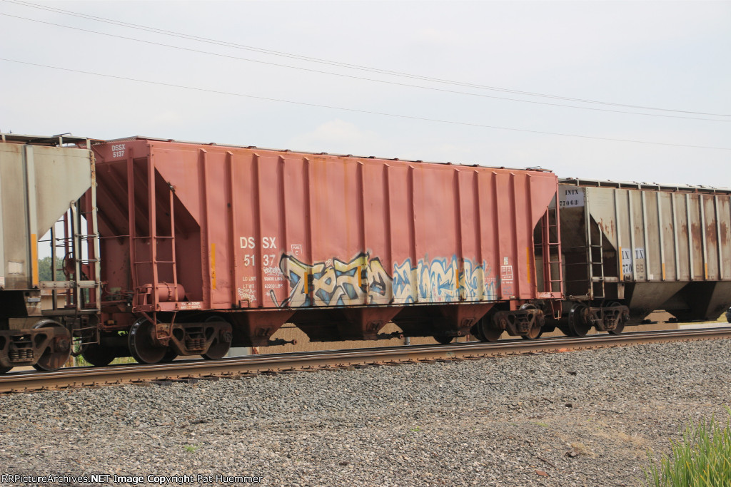 DSSX 5137
