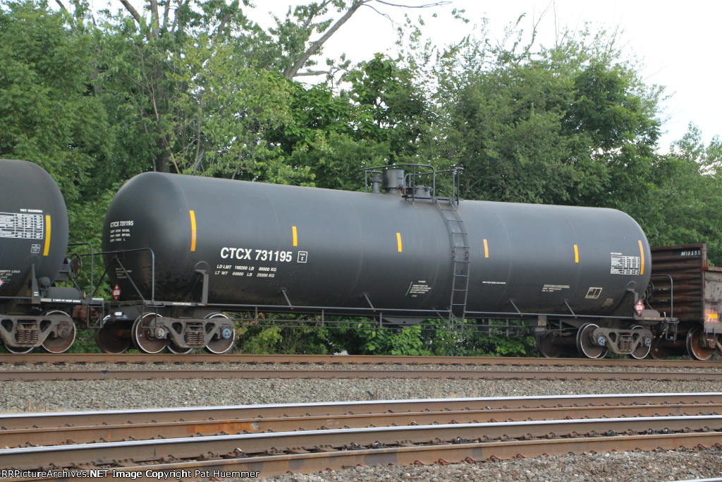 CTCX 731195