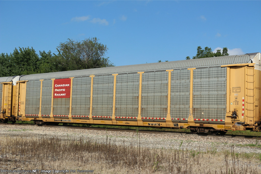 TTGX 853955