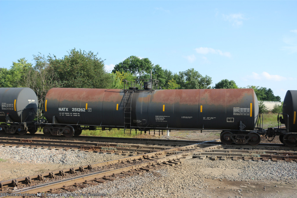 NATX 251262