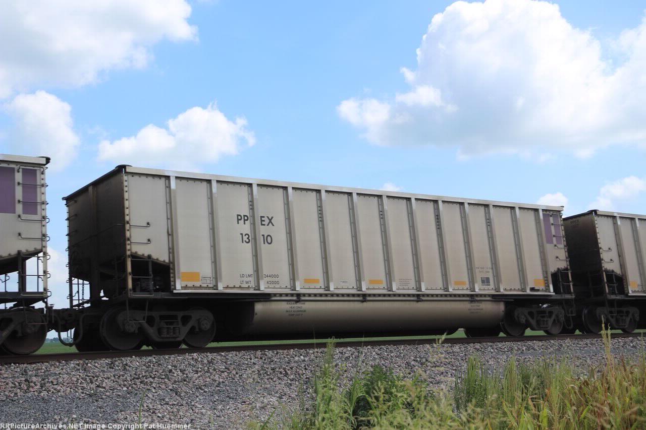 PPEX 1310