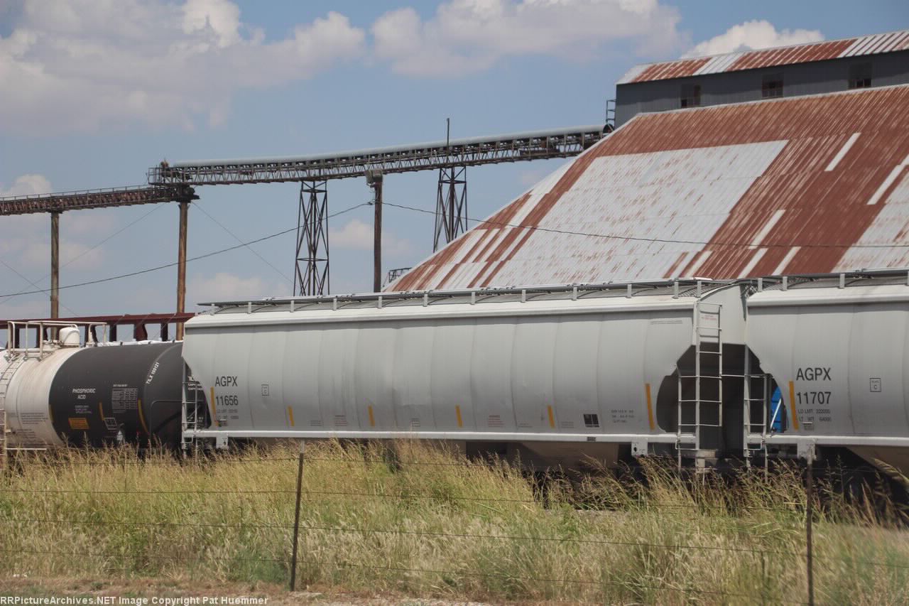 AGPX 11656