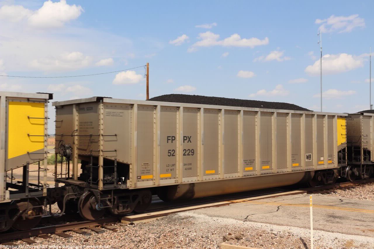 FPPX 52229