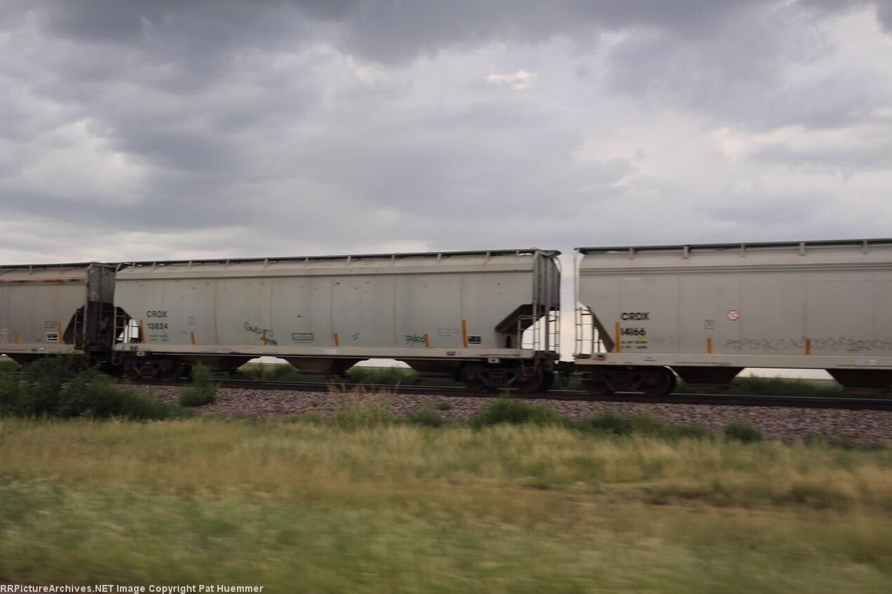 CRDX 13824
