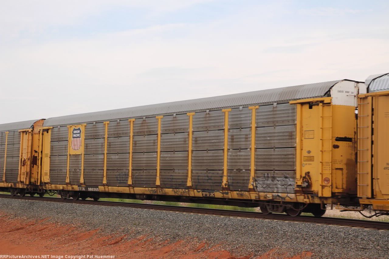 TTGX 980365