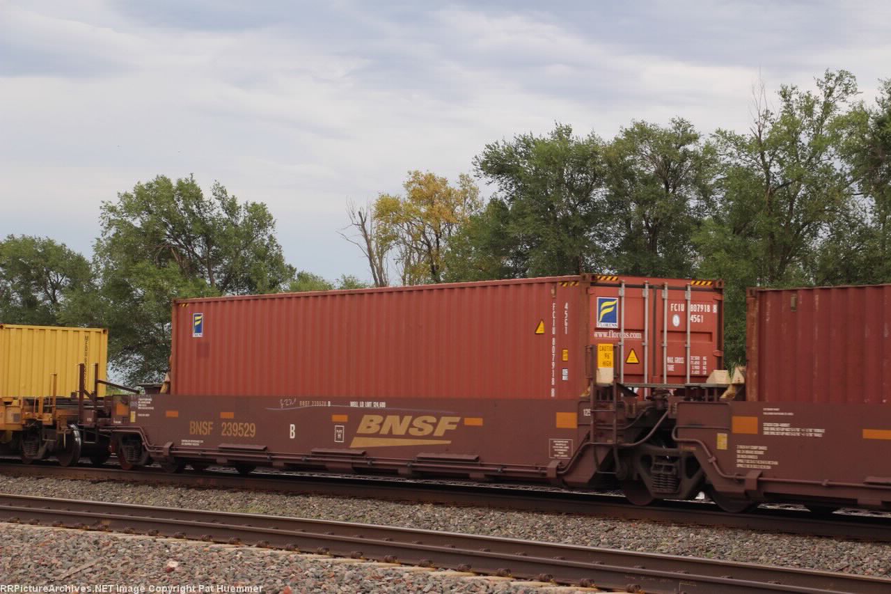BNSF 239529