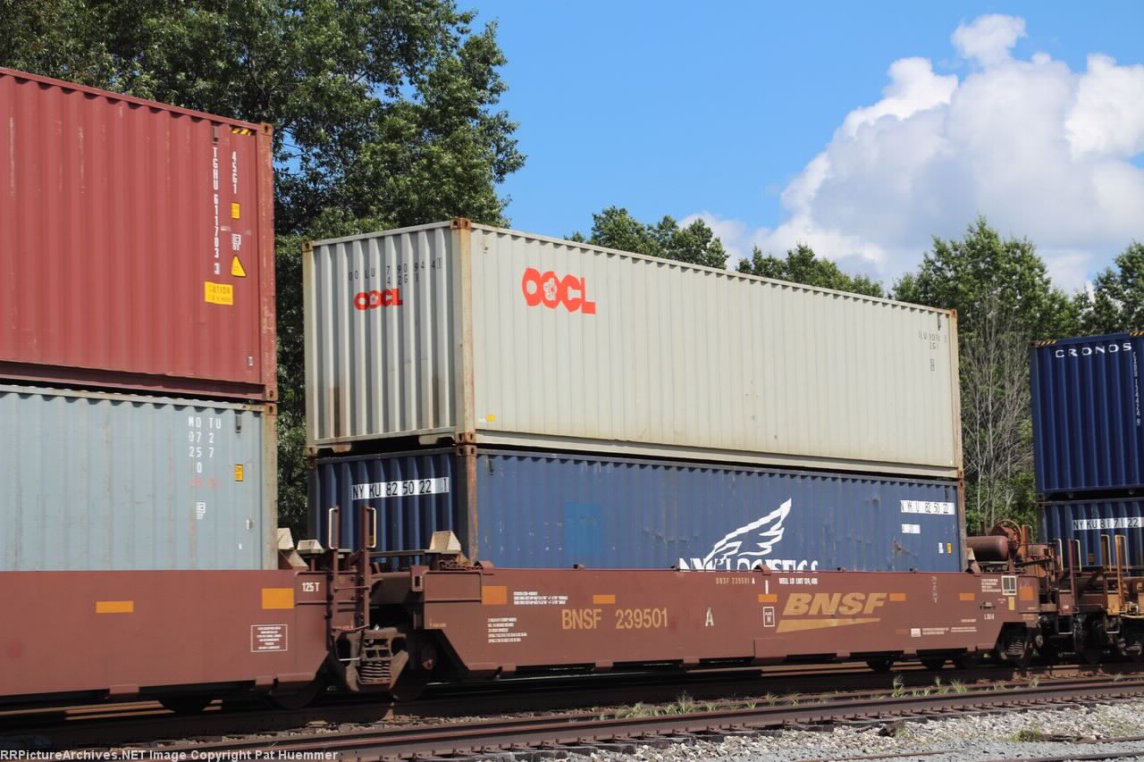 BNSF 239501