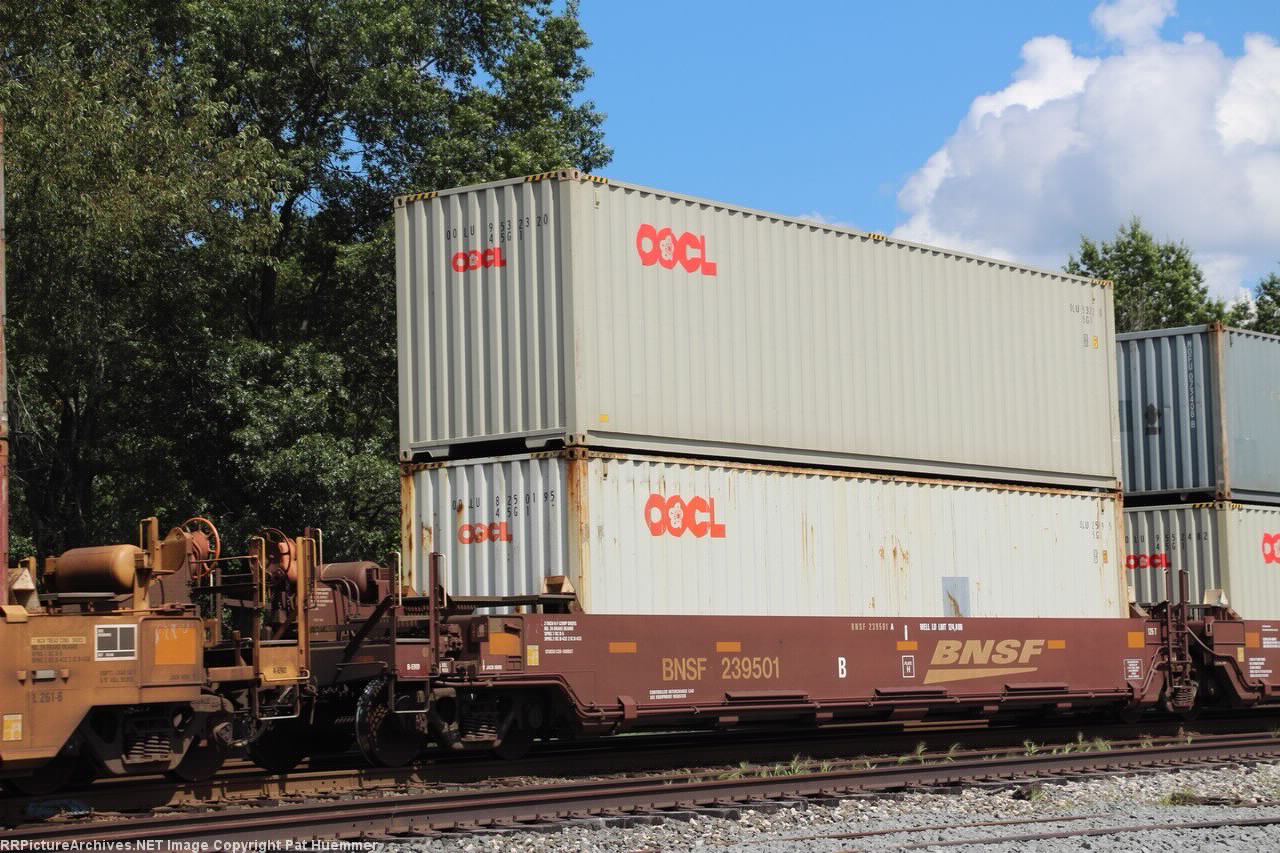 BNSF 239501