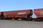 BNSF 495134