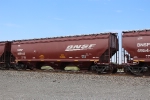 BNSF 495443