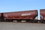 BNSF 495444