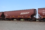 BNSF 495002