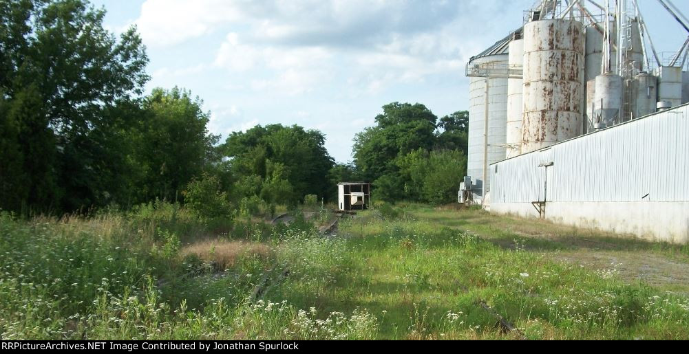 Looking north at almost hidden trackage, W St Eunice Rd