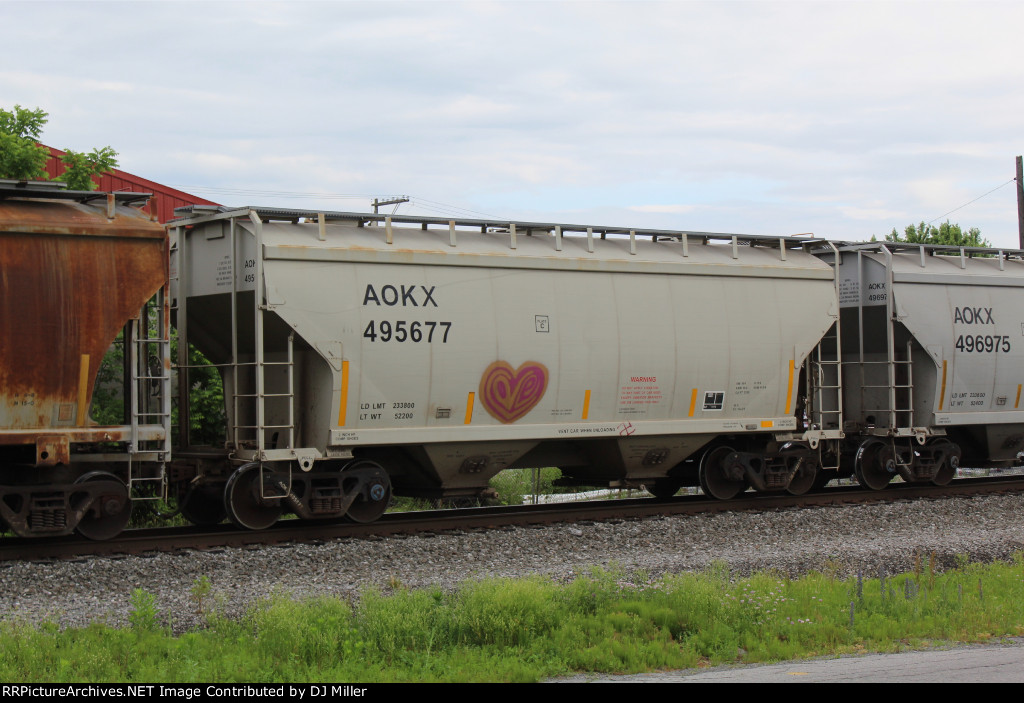 AOKX 495677
