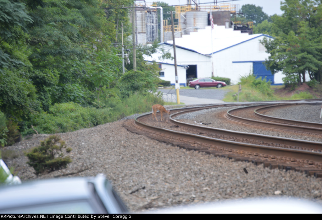 Curious / Inquisitive?